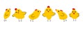 Chicken set six yellow birds Royalty Free Stock Photo