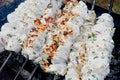 Chicken shashlik, marinated in white kefir marinade