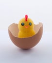 Chicken in shell on white Royalty Free Stock Photo