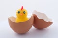 Chicken in shell on white Royalty Free Stock Photo