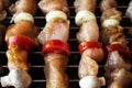 Chicken shish kebab with tomato and mushroom barbecue Royalty Free Stock Photo