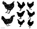 Chicken silhouette or butcher diagram or part of hen butcher concept.