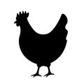 Chicken silhouette vector icon Royalty Free Stock Photo