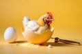 Chicken is sitting in chicken eggshell. Shell is broken, there is metal dumbbell next to it. Yellow background. Royalty Free Stock Photo