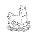 A chicken is sitting in a nest and hatching eggs, monochrome picture, vector illustration Royalty Free Stock Photo