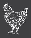 Chicken sketch vector