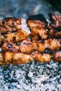 Chicken skewers on skewers on fire. Cooking meat outdoors in the open air Royalty Free Stock Photo