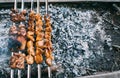 Chicken skewers on skewers on fire. Cooking meat outdoors in the open air Royalty Free Stock Photo