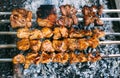 Chicken skewers on skewers on fire. Cooking meat outdoors in the open air Royalty Free Stock Photo