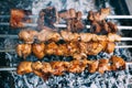 Chicken skewers on skewers on fire. Cooking meat outdoors in the open air Royalty Free Stock Photo