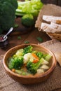 Chicken soup with broccoli, green peas, carrots and celery Royalty Free Stock Photo