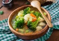 Chicken soup with broccoli, green peas, carrots and celery Royalty Free Stock Photo