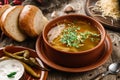 Chicken soup or broth with noodles, herbs and vegetables in bowl with sour cream, bread, pepper on wooden rustic background.