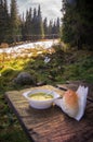 Chicken soup in the forrest Royalty Free Stock Photo