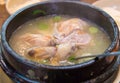 chicken soup with ginseng, korean food Royalty Free Stock Photo