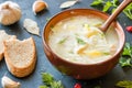 Chicken soup with noodles and potatoes Royalty Free Stock Photo