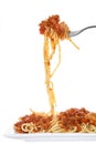 Chicken spaghetti bolognese isolated