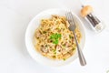 Chicken Spaghetti Garnished with Parsley Top Down Photo