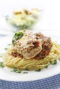 Chicken and spaghetti meal Royalty Free Stock Photo