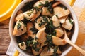 Chicken with spinach in a pan close-up on the table. horizontal Royalty Free Stock Photo