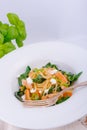 Chicken spinach pasta Royalty Free Stock Photo