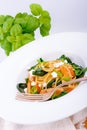 Chicken spinach pasta Royalty Free Stock Photo
