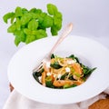 Chicken spinach pasta Royalty Free Stock Photo