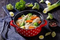 Chicken vegetable soup with pasta in red pot Royalty Free Stock Photo