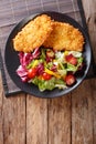 Chicken steak in breading Panko and fresh salad close-up on the