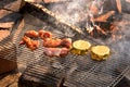 Chicken steaks on a grill grid over a campfire, white smoke, grilled meat and Camembert cheese over a campfire. Summer barbecue Royalty Free Stock Photo