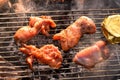 Chicken steaks on a grill grid over a campfire, white smoke, grilled meat and Camembert cheese over a campfire. Summer barbecue Royalty Free Stock Photo