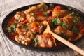 Chicken stew with vegetables and spices - chakhokhbili close-up.