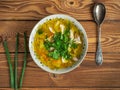 Chicken stock vegetable soup with fresh herbs. Green onion feathers, homemade food Royalty Free Stock Photo