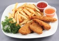 chicken strips and fries combo Royalty Free Stock Photo