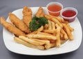 chicken strips and fries combo