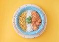 Chicken strogonoff with rice and potato straw. Royalty Free Stock Photo