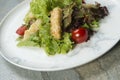 Chicken Tempura Salad on white marble plate, stone anthracite background Royalty Free Stock Photo