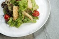 Chicken Tempura Salad on white marble plate, stone anthracite background Royalty Free Stock Photo