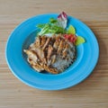 Chicken Teriyaki Japanese food Royalty Free Stock Photo