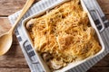 Chicken tetrazzini from spaghetti, mushrooms, cheese and cream s