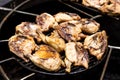 Chicken thighs on the volcanic stove grill