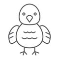 Chicken thin line icon, animal and bird, chick sign, vector graphics, a linear pattern on a white background.