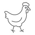 Chicken thin line icon, farming and agriculture,