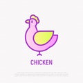 Chicken thin line icon. Modern vector illustration