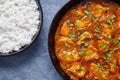 Chicken tikka masala national Indian spicy meat food with butter Royalty Free Stock Photo