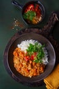 Chicken tikka masala spicy curry meat food in marbre plate with rice and spices on dark gray background
