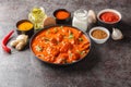 Chicken tikka masala spicy curry meat food over concrete background closeup. Horizontal Royalty Free Stock Photo