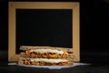 Chicken Tikka Mint Grilled Sandwich isolated on wooden board side view of fast food on dark background Royalty Free Stock Photo