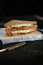 Chicken Tikka Mint Grilled Sandwich isolated on wooden board side view of fast food on dark background Royalty Free Stock Photo