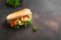 Chicken Tikka Naan Sandwich Royalty Free Stock Photo